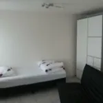 + Insulinde Hotel *